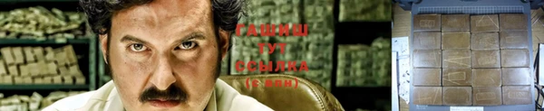 mdpv Вяземский