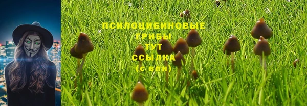 стаф Нязепетровск