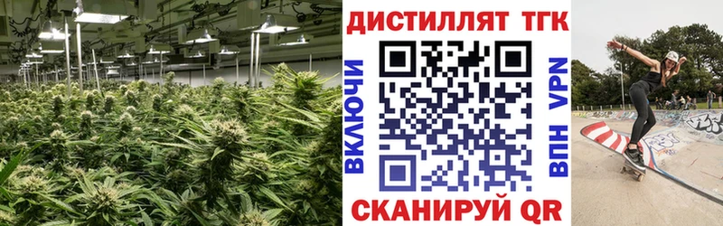 ТГК жижа маркетплейс наркотические препараты Западная Двина